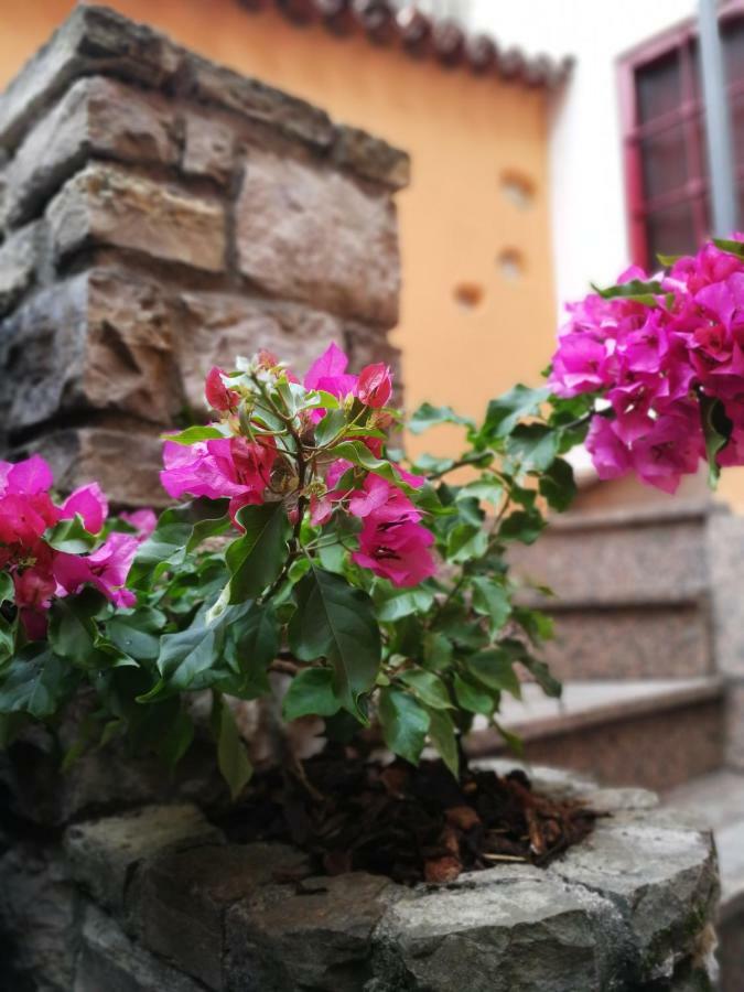 La Corte Dell'Angelo Orio al Serio Ngoại thất bức ảnh